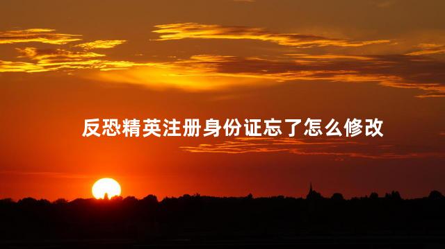 反恐精英注册身份证忘了怎么修改，反恐精英ol实名认证会不会找回
