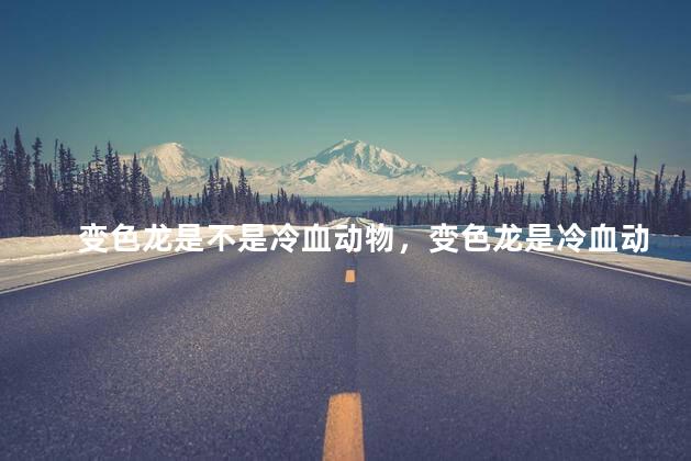 变色龙是不是冷血动物，变色龙是冷血动物吗
