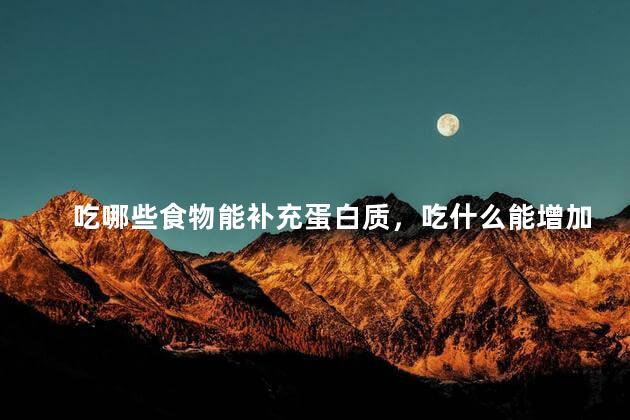 吃哪些食物能补充蛋白质，吃什么能增加蛋白质的吸收率