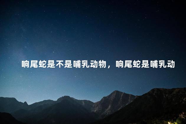 响尾蛇是不是哺乳动物，响尾蛇是哺乳动物吗