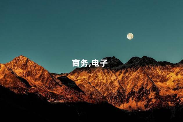 电子商务可以考什么证 学校电子商务证书有哪些