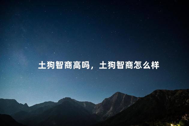 土狗智商高吗，土狗智商怎么样