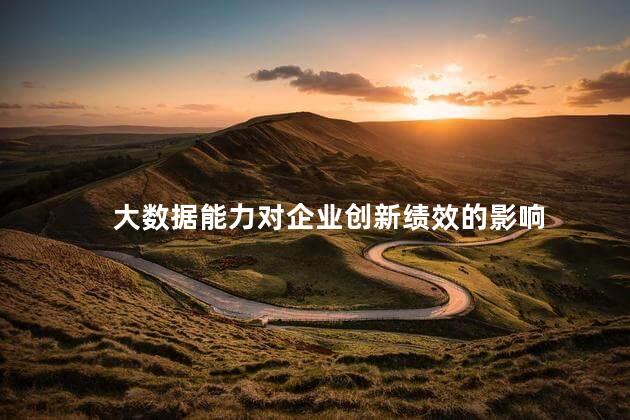 大数据能力对企业创新绩效的影响，大数据对企业的重要性