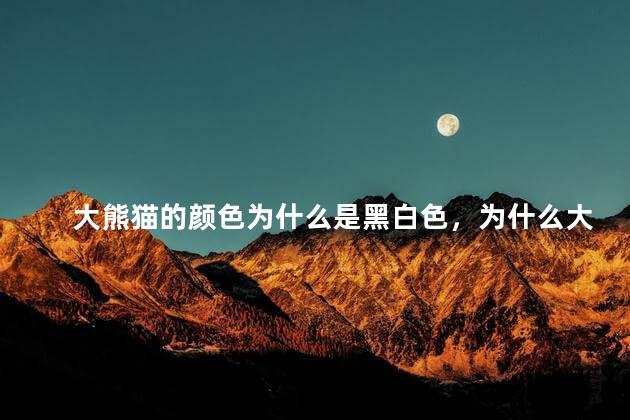 大熊猫的颜色为什么是黑白色，为什么大熊猫是黑白色的
