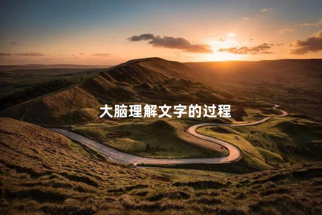 大脑理解文字的过程,大脑是怎么读懂文字的