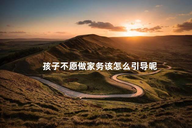 孩子不愿做家务该怎么引导呢，孩子拒绝做家务怎么办