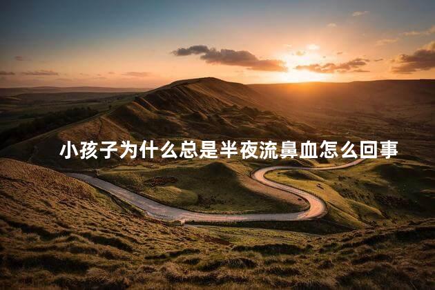 小孩子为什么总是半夜流鼻血怎么回事，小孩子总是半夜流鼻血是什么原因