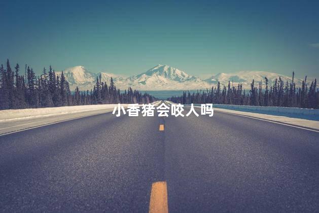 小香猪会咬人吗，小香猪咬人是怎么回事