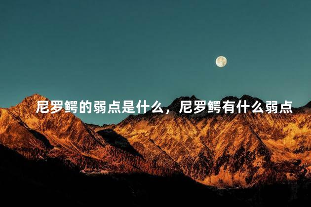 尼罗鳄的弱点是什么，尼罗鳄有什么弱点