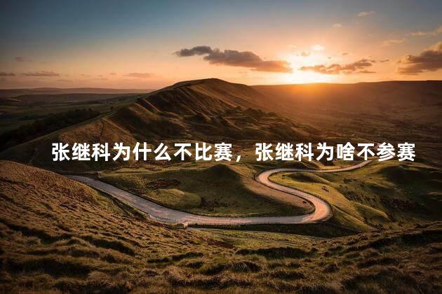 张继科为什么不比赛，张继科为啥不参赛