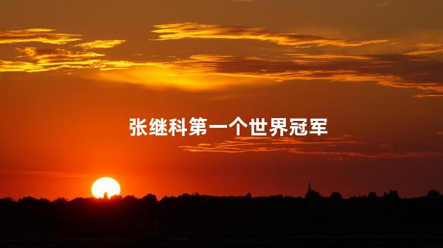 张继科第一个世界冠军,张继科奥运是哪一年