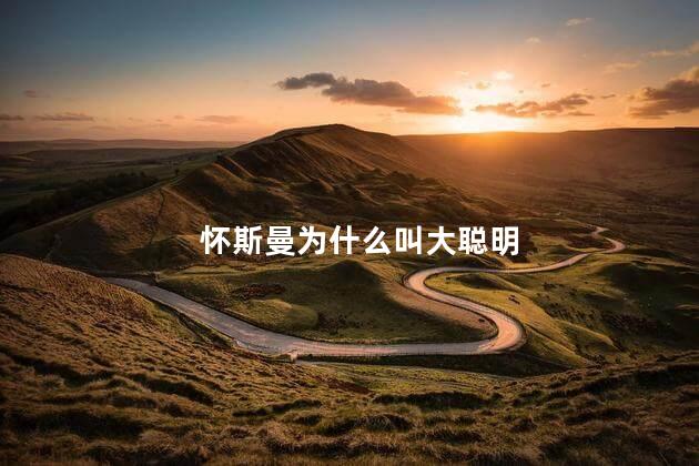 怀斯曼为什么叫大聪明，怀斯曼叫大聪明的原因