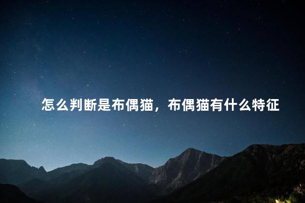 怎么判断是布偶猫，布偶猫有什么特征
