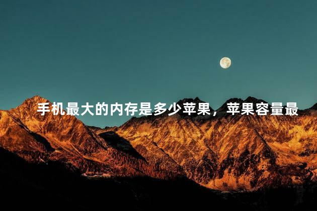 手机最大的内存是多少苹果，苹果容量最大多少G