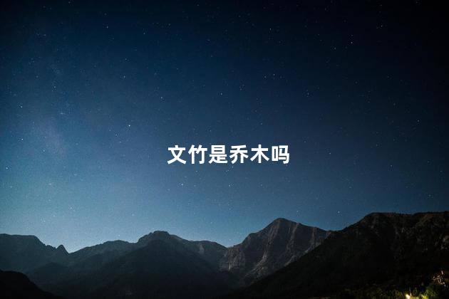文竹是乔木吗，文竹是不是乔木