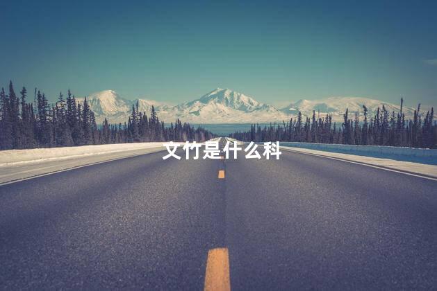 文竹是什么科,文竹属于哪一科