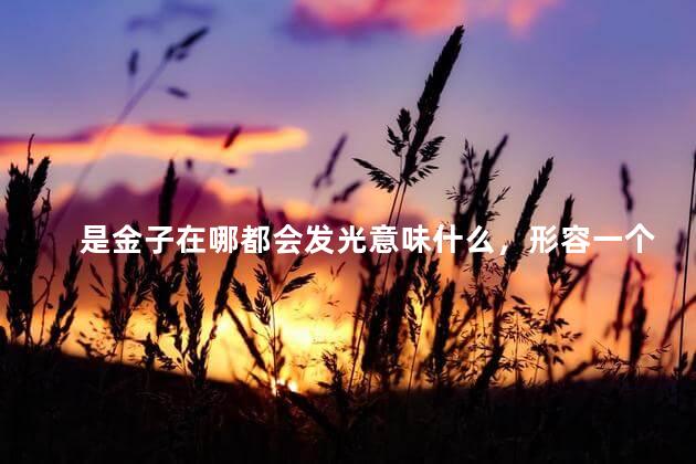 是金子在哪都会发光意味什么，形容一个人是金子总会发光