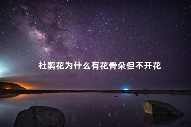 杜鹃花为什么有花骨朵但不开花，杜鹃花为何有骨朵儿不开花