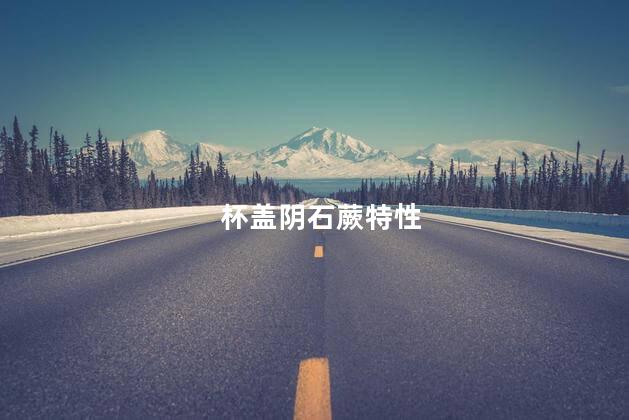 杯盖阴石蕨特性是什么，杯盖阴石蕨有哪些特性