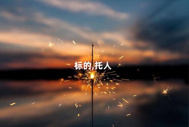 标的是什么意思呢 交易标的是什么意思啊