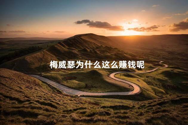 梅威瑟为什么这么赚钱呢，梅威瑟和炮嘴的比赛赚了多少钱