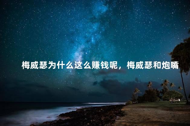 梅威瑟为什么这么赚钱呢，梅威瑟和炮嘴的比赛赚了多少钱