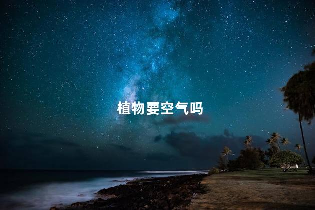 植物要空气吗，为什么植物也需要空气呢