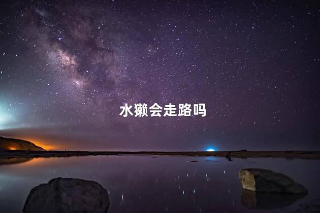 水獭会走路吗，水獭会走不会路路
