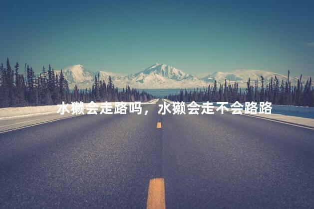 水獭会走路吗，水獭会走不会路路