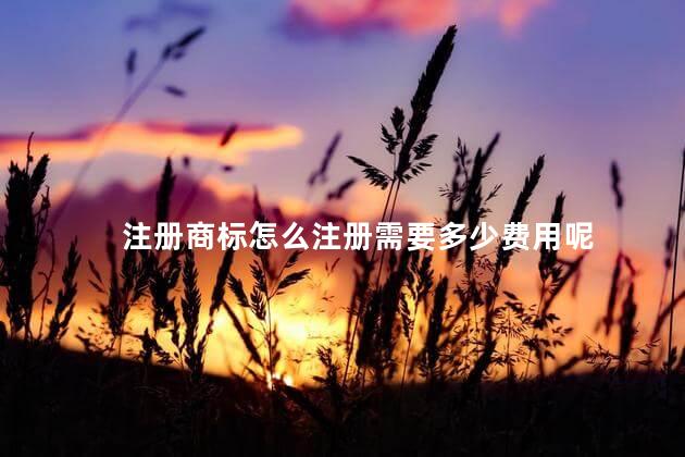 注册商标怎么注册需要多少费用呢 自己注册商标流程及费用