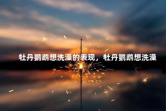 牡丹鹦鹉想洗澡的表现，牡丹鹦鹉想洗澡时有什么表现
