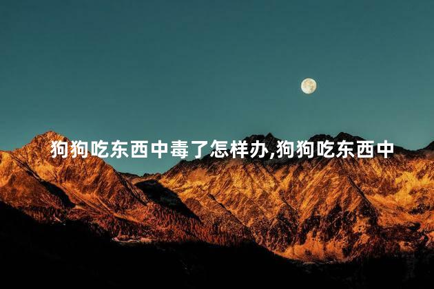 狗狗吃东西中毒了怎样办,狗狗吃东西中毒了怎样处理中毒了怎样处理