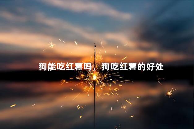 狗能吃红薯吗，狗吃红薯的好处