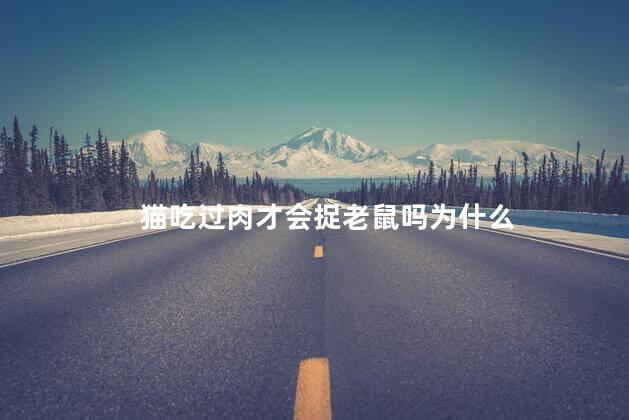 猫吃过肉才会捉老鼠吗为什么，猫为什么抓到老鼠,先玩在吃呢