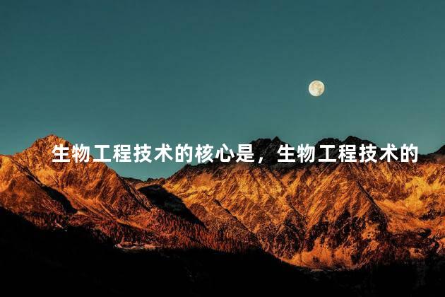 生物工程技术的核心是，生物工程技术的核心是什么