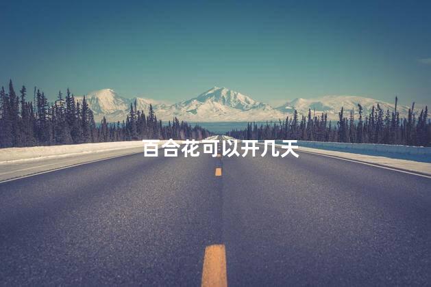 百合花可以开几天，百合花一般花开几天