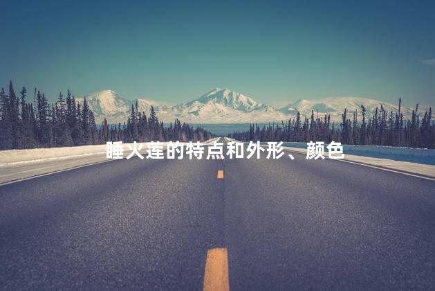 睡火莲的特点和外形、颜色，睡火莲有什么特征