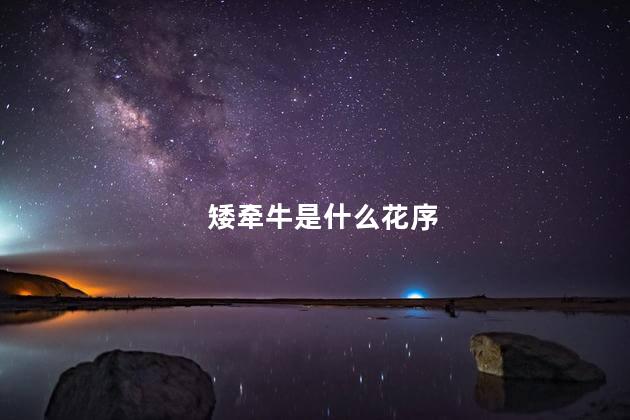 矮牵牛是什么花序，矮牵牛的花序类型