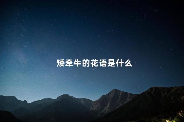 矮牵牛的花语是什么,矮牵牛寓意及花语