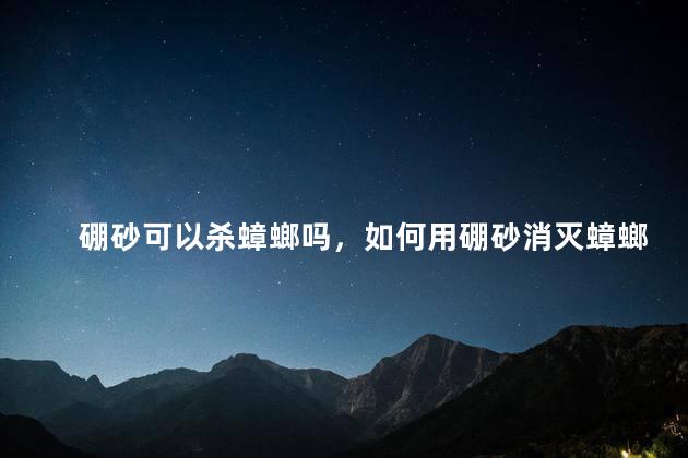硼砂可以杀蟑螂吗，如何用硼砂消灭蟑螂