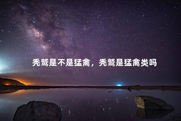 秃鹫是不是猛禽，秃鹫是猛禽类吗
