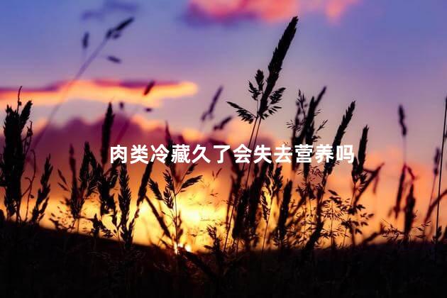 肉类冷藏久了会失去营养吗，肉类冷藏营养会流失吗