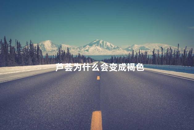 芦荟为什么会变成褐色，芦荟变褐色的原因