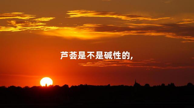 芦荟是不是碱性的，芦荟是碱性还是酸性的