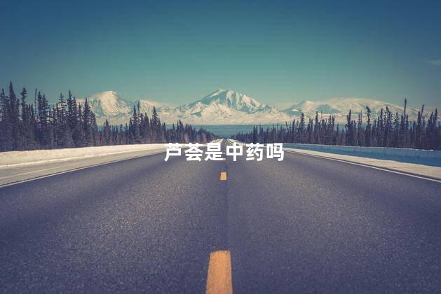 芦荟是中药吗，中药芦荟为什么是矿石状