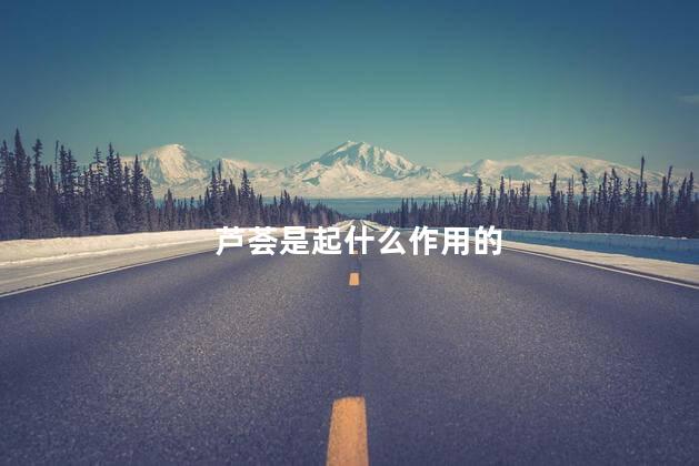 芦荟是起什么作用的，芦荟入药部位