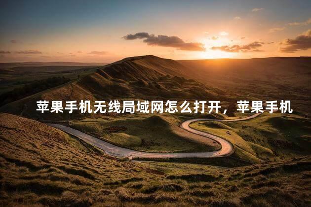 苹果手机无线局域网怎么打开，苹果手机无线局域网搜索不到wifi
