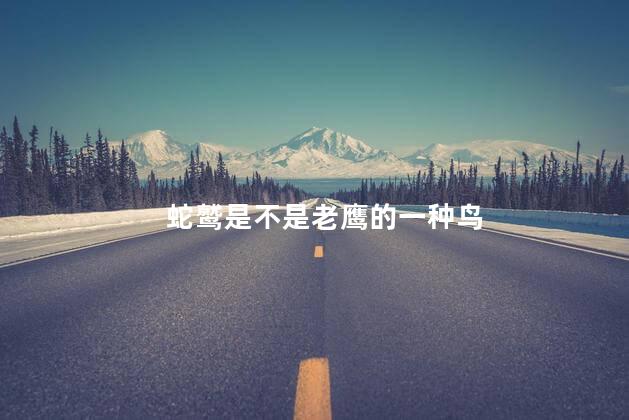 蛇鹫是不是老鹰的一种鸟，蛇鹫属于老鹰的一种鸟类吗