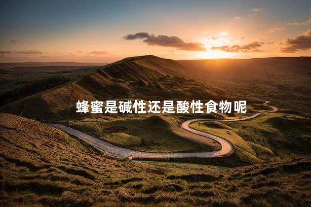蜂蜜是碱性还是酸性食物呢，蜂蜜是碱性还是酸性的