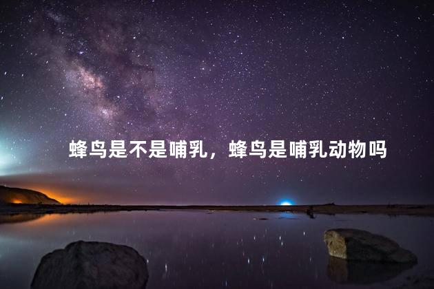 蜂鸟是不是哺乳，蜂鸟是哺乳动物吗